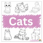 kleurplaat-kat