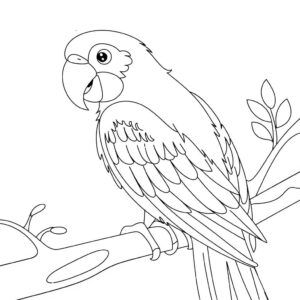 coloriage oiseau maternelle