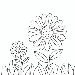 flower coloring page