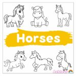 horses