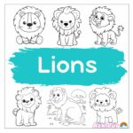 lions