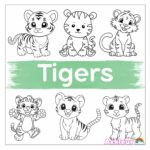 tigers