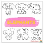 elephants