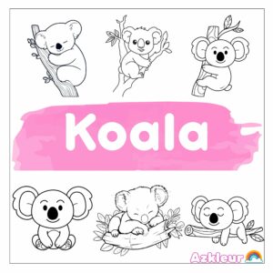 Koala Ausmalbild