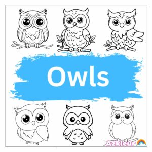 Coloriages Hibou