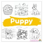 puppy