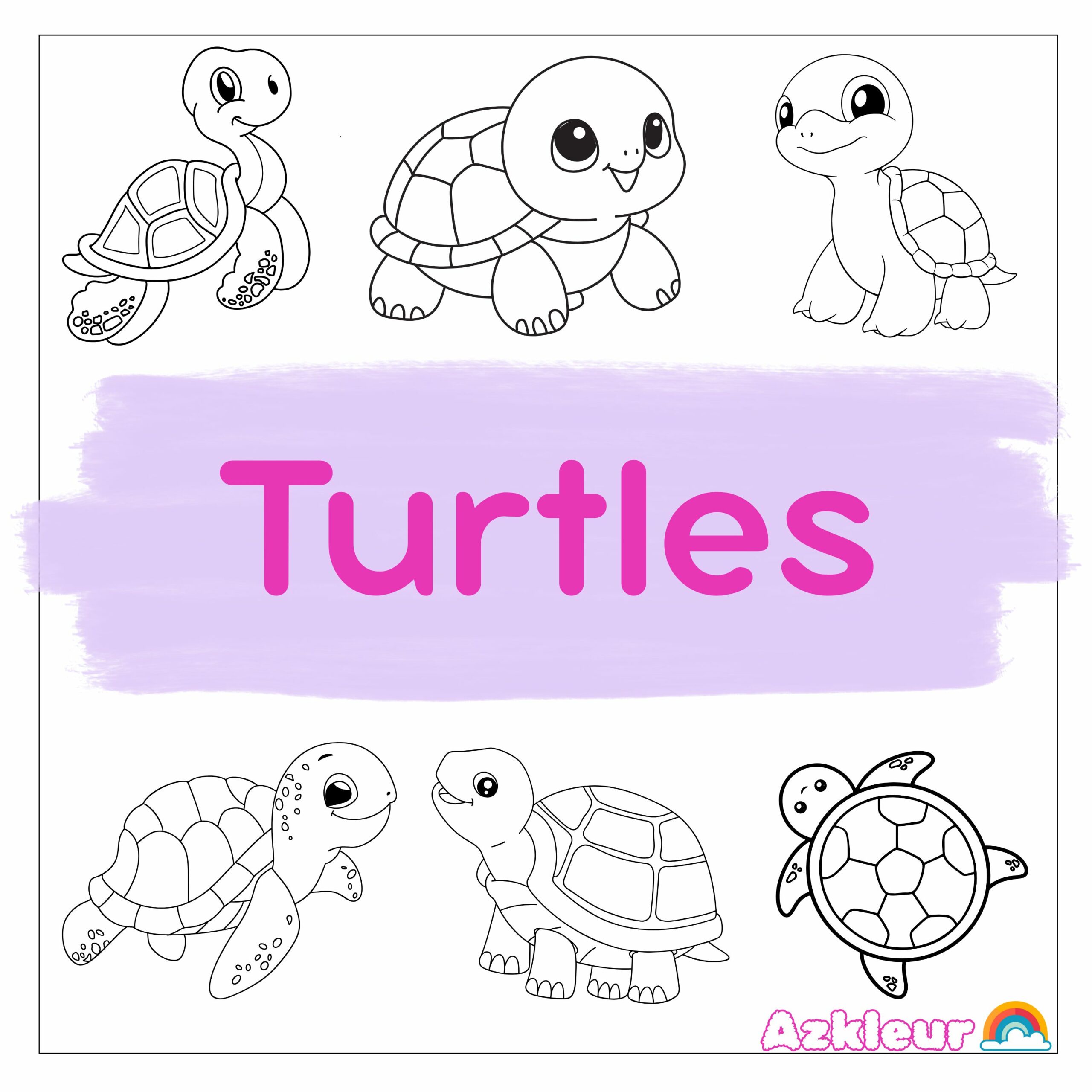 turtles