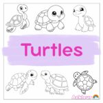 turtles