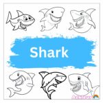 Shark