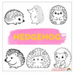 hedgehog