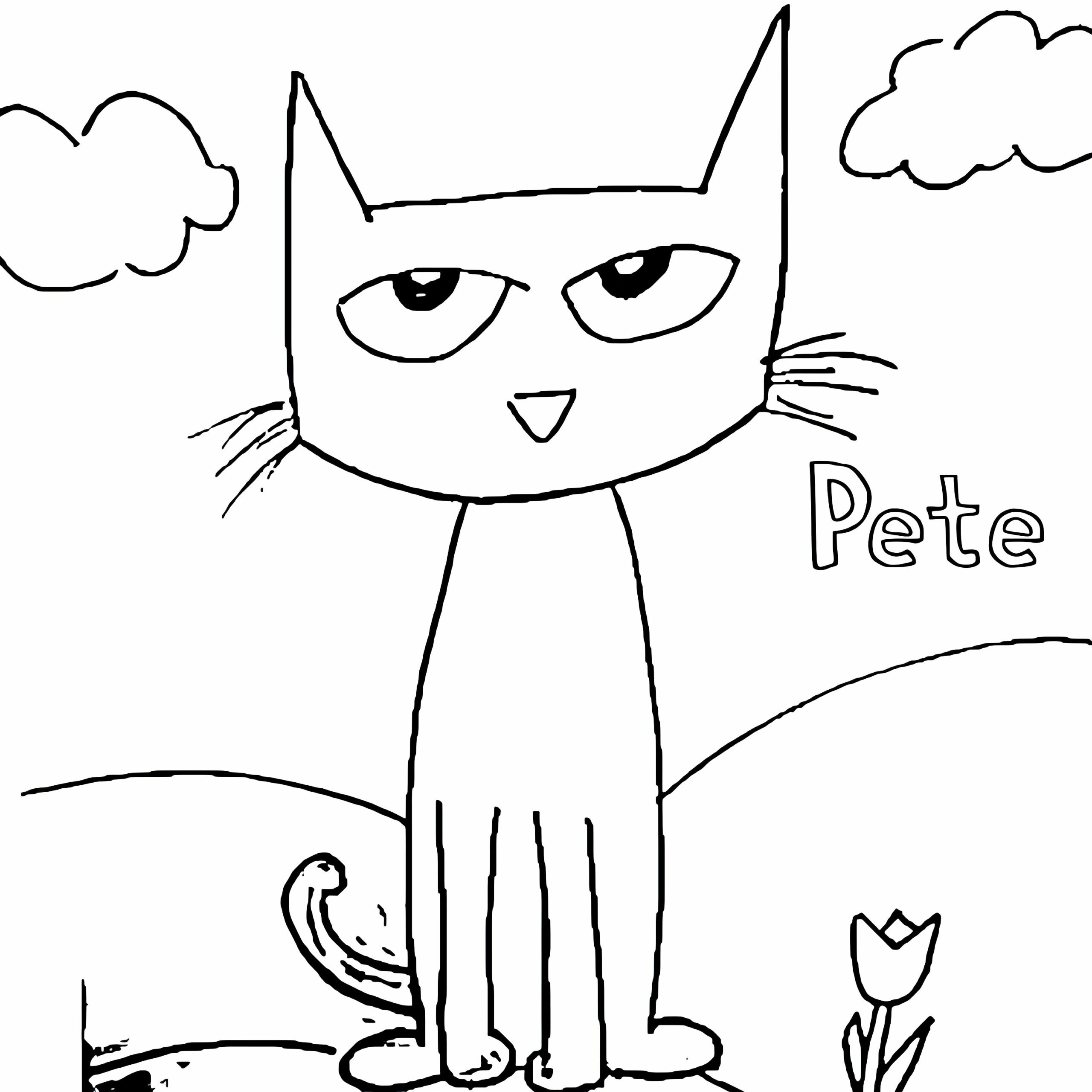 katze malvorlagen
