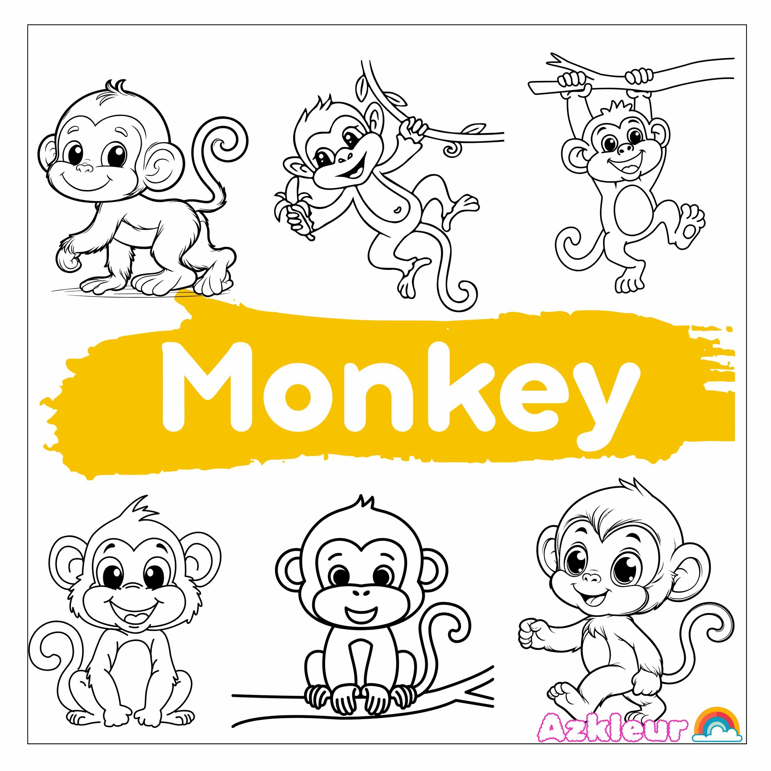 monkey