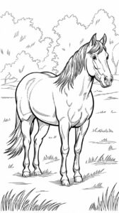 malvorlage pferd