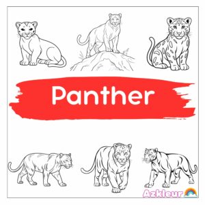 Ausmalbild Panther