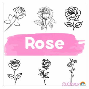 Ausmalbilder Rosen