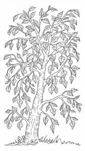 bomen tekening