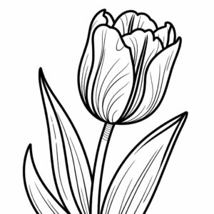 kleurplaten van tulpen