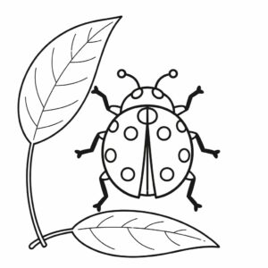 ausmalbilder kostenlos marienkäfer