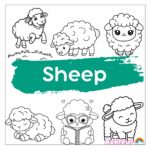 sheep