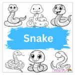 snake