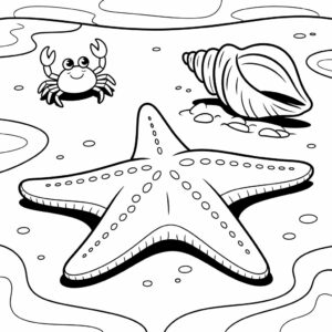 disegni da colorare stella marina