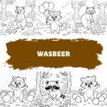 Wasbeer