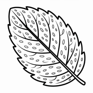 dessin feuilles