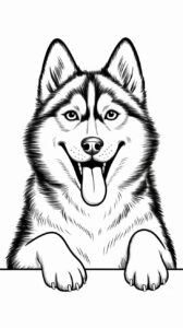 husky tekenen makkelijk