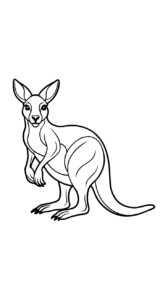 disegno facile canguro