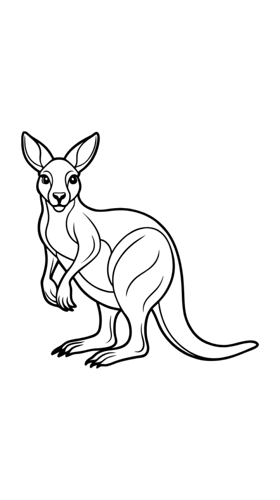 australien känguru ausmalbild