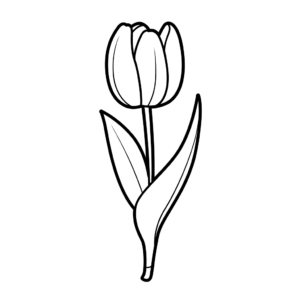 Coloriages tulipes