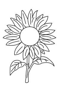 Modèles de tournesols à colorier