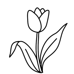 Tulpen Ausmalbilder