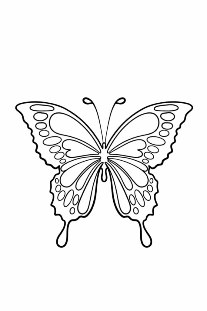 Butterfly Coloring Book with 104 Pages