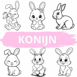 Kleurplaat konijn