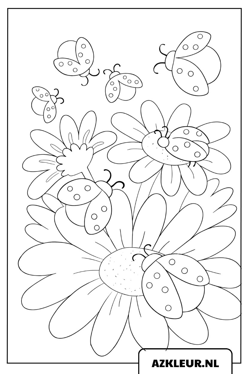 Lieveheersbeestjes en madeliefjes tuin kleurplaat