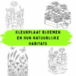 Kleurplaat Bloemen en Hun Natuurlijke Habitats
