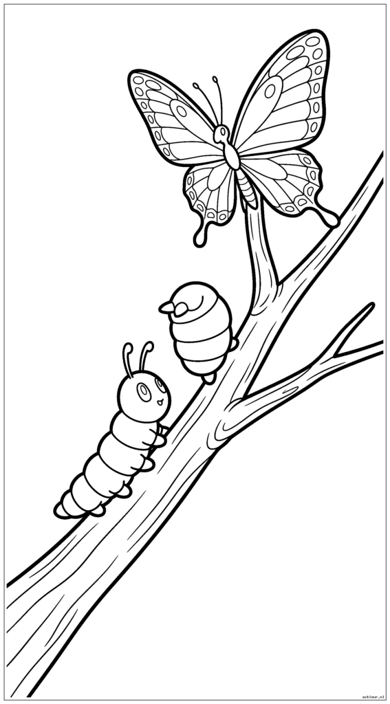 Caterpie klimt in een boomtak terwijl Metapod en Butterfree erboven staan