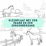 kleurplaat met een paard en een zonsondergang ft
