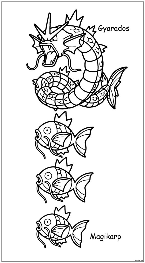 Magikarp springt uit het water en verandert in fasen in Gyarados