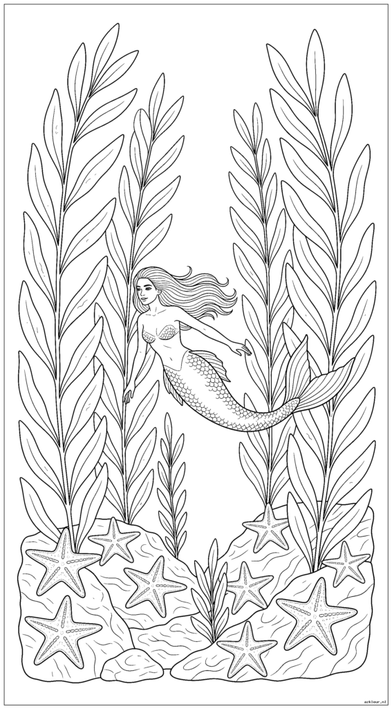 Realistische zeemeermin die door een wetenschappelijk nauwkeurig kelpbos zwemt met gedetailleerde zeesterren die zich aan de rotsen vastklampen