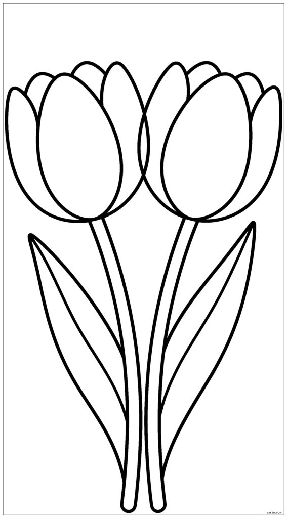 Twee tulpen die naar elkaar toe buigen en een hartvorm vormen